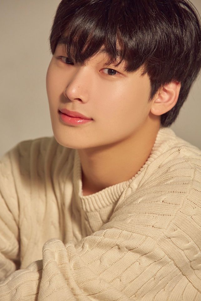 도지민 profile image