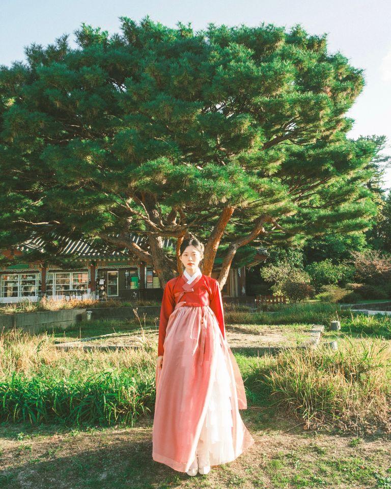 송하진 썸네일 이미지