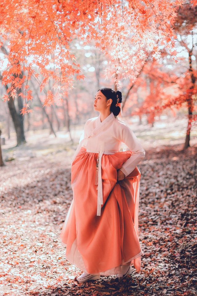 이솔 썸네일 이미지