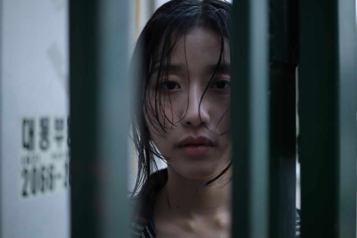 최하영 サムネイル画像