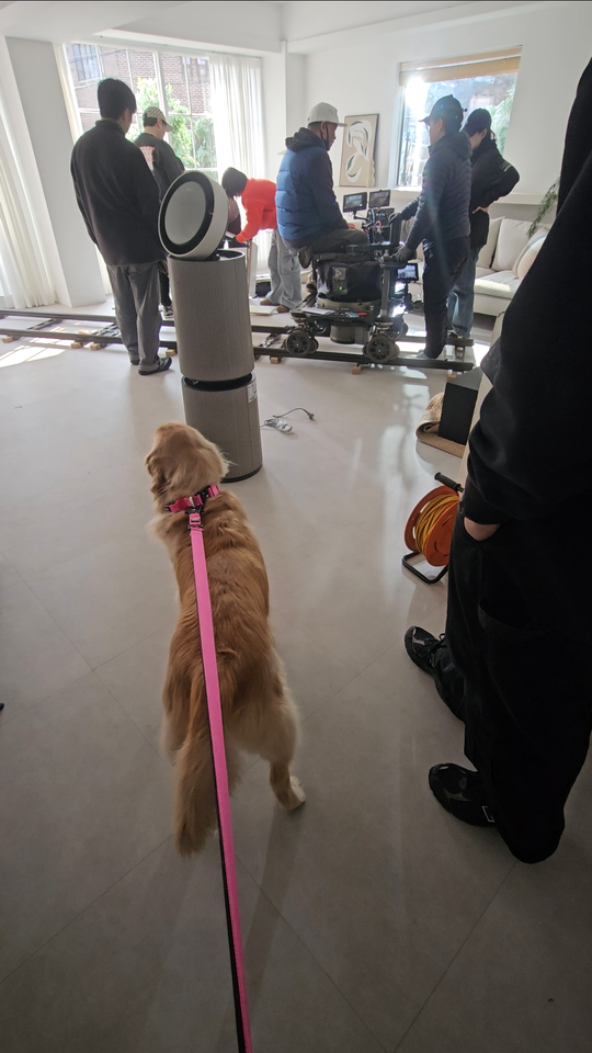 강아지 썸네일 이미지