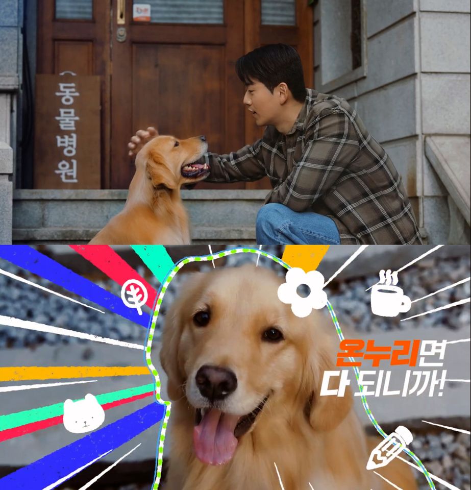 강아지 썸네일 이미지