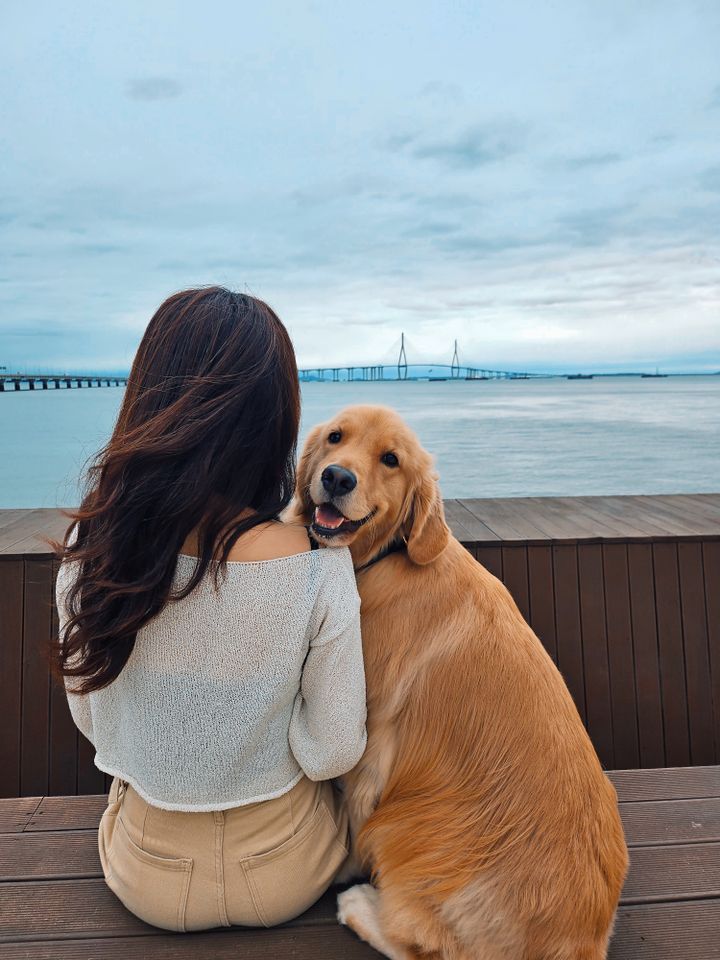 강아지 썸네일 이미지